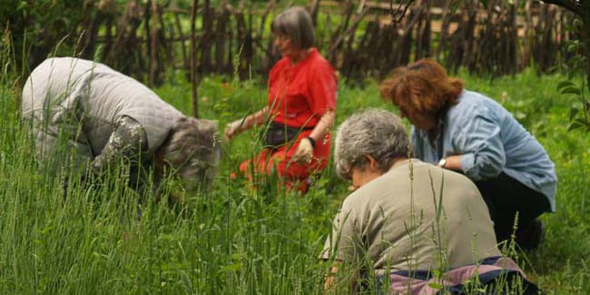 orto, giardino del benessere