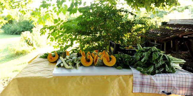 Coop. Sociale "Aromi a tutto campo"