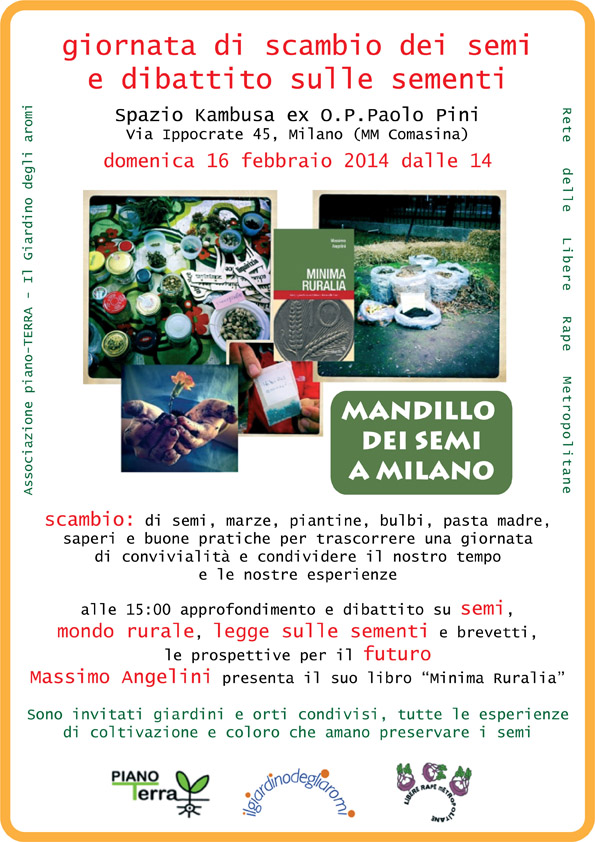 mandillo bon