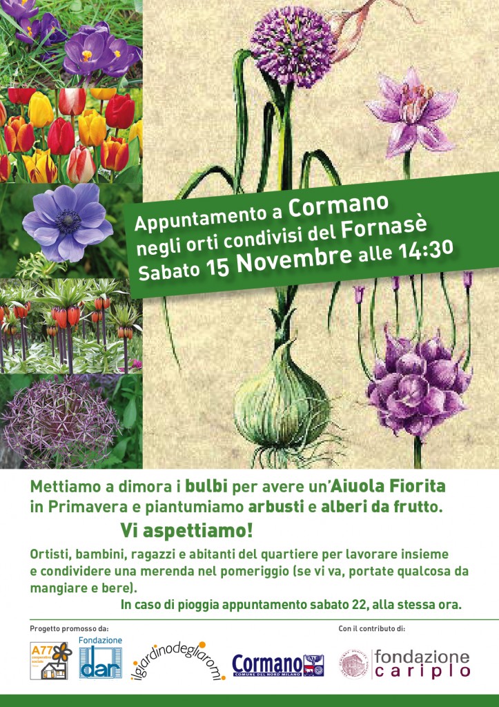 Cormano 15nov