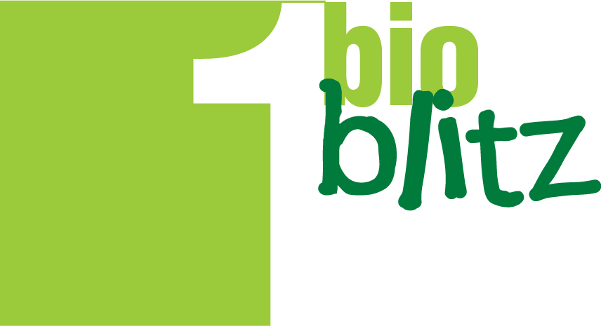 1 bio blitz